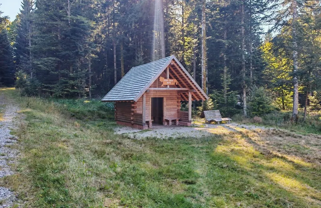 Gasthof Steinwald-1