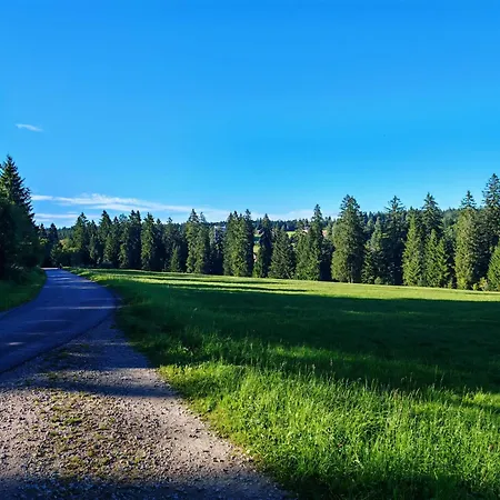 Gasthof Steinwald-3